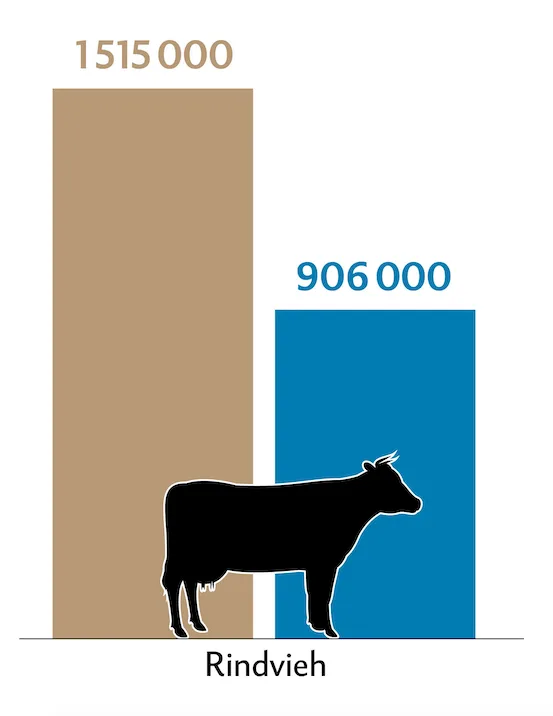 Balkendiagramm zeigt die Tierzahlen (braun) und Behandlungszahlen (blau) der Rinder in der Schweiz.