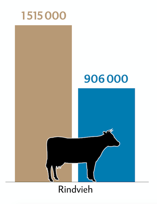 Balkendiagramm zeigt die Tierzahlen (braun) und Behandlungszahlen (blau) der Rinder in der Schweiz.