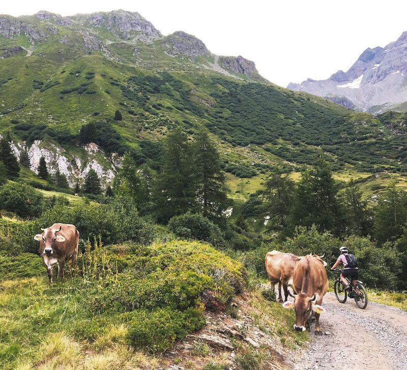 Beliebtes Mountainbiken, auch auf Alpwegen. Dafür müssten aber Haftungsfragen geklärt werden, verlangt die Schwyzer Bauernvereinigung.