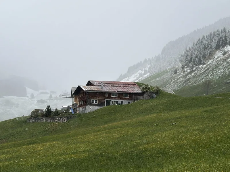 Bäuerin Tina Brosi: Von der Ostseeküste in die Bündner Bergwelt