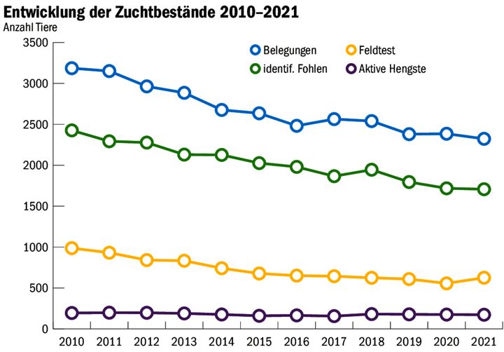 Die Anzahl Belegungen wie auch die Zahl der identifizierten Fohlen sind rückläufig. Mit ein Grund, weshalb der Bestand der Freibergerrasse vom Bund als «kritisch» betrachtet wird.