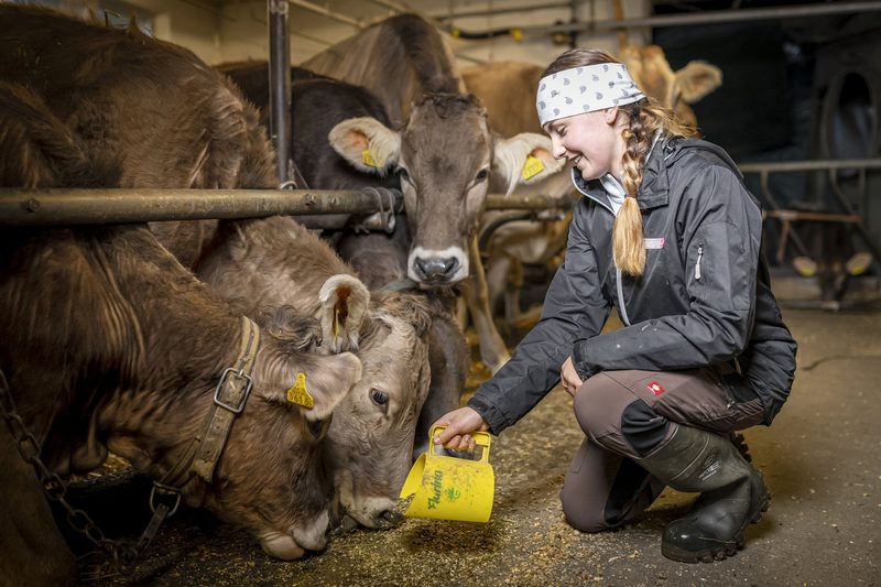 Braunviehkönigin Alessia Sonderegger ist eine Hoheit mit Händchen für die Viehzucht