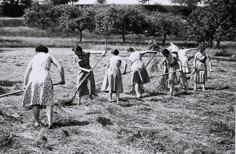 Frauenpower in der Landwirtschaft