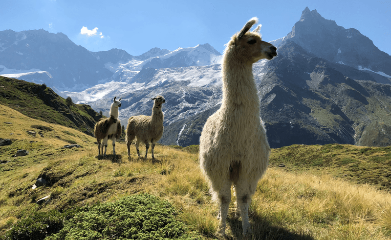 Val d'Anniviers: Der Geheimtipp für den Herbst
