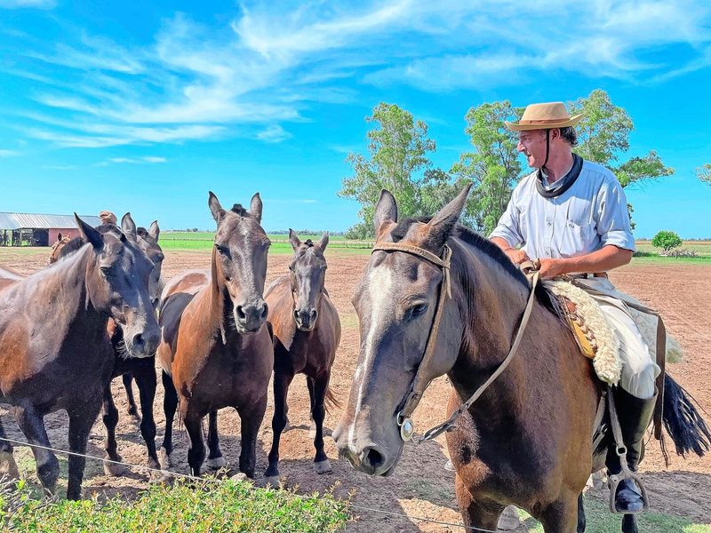 Ein südamerikanischer Viehhirte, genannt «Gaucho», bekannt für seine Reitkunst, traditionelle Kleidung und Unabhängigkeit.