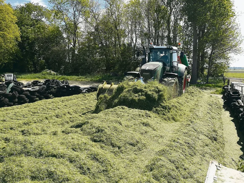 Die Verteilwalze sorgt dafür, dass das ganze Schnittgut gleichmässig auf dem Fahrsilo verstreut ist.