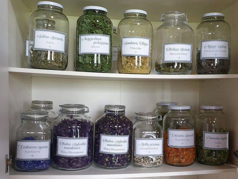 Kräuterfrau Erika Rebsamen setzt sich gerne in die Nesseln