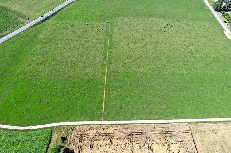 Der Versuchs-aufbau von Agroscope in Posieux FR. Die virtuelle Grenze ist nur durch die unterschiedliche Beweidung sichtbar.