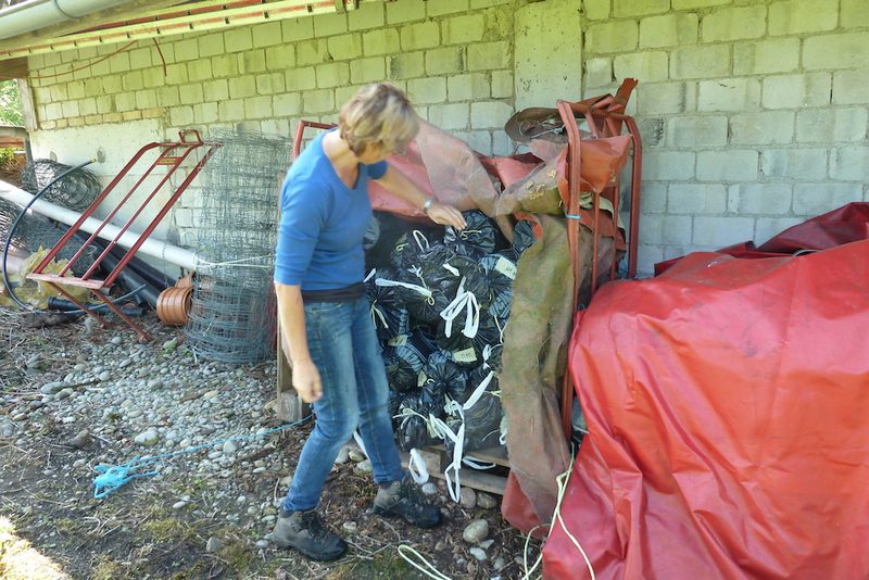 Mit beimpftem Holz eine eigene Pilzzucht im Garten anlegen