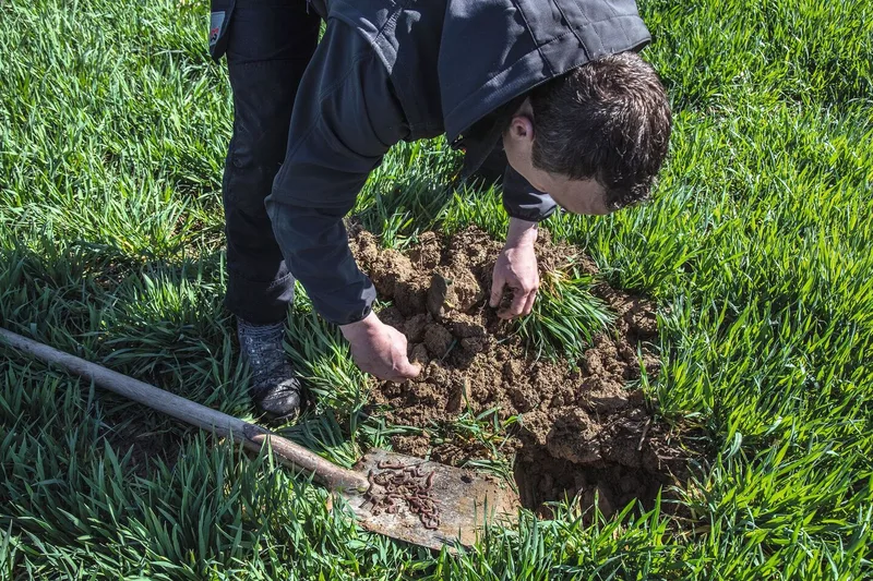 Marcel Villiger sorgt für ein gutes Umfeld für Regenwürmer, damit sie Ernterückstände und abgestorbene Pflanzenteile rasch abbauen können.