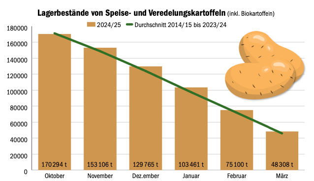 Kartoffeln: Lager sind noch gut bestückt