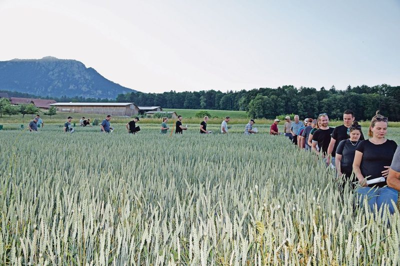 Das Interesse war gross am Sommertag am Wallierhof. Die Besucherinnen und Besucher wurden belohnt mit vielen wertvollen Informationen.