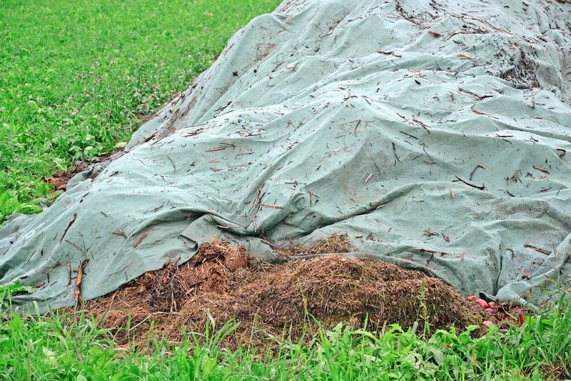 In den Mistkompost kommt Grünschnitt aus dem Gartenunterhalt, die Miete reift rund ein Jahr.