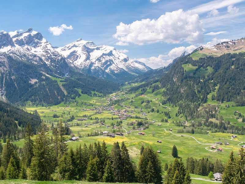 Biodiversität – was ist das und was bringt das?
