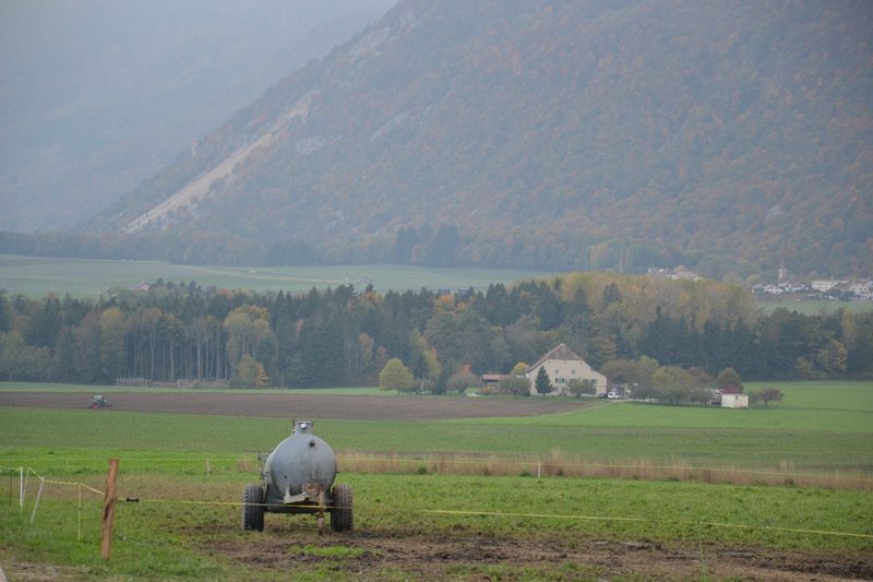 Nachhaltige Landwirtschaft: Wie Kunstwiesen und Tierhaltung das Ackerbausystem stabilisieren