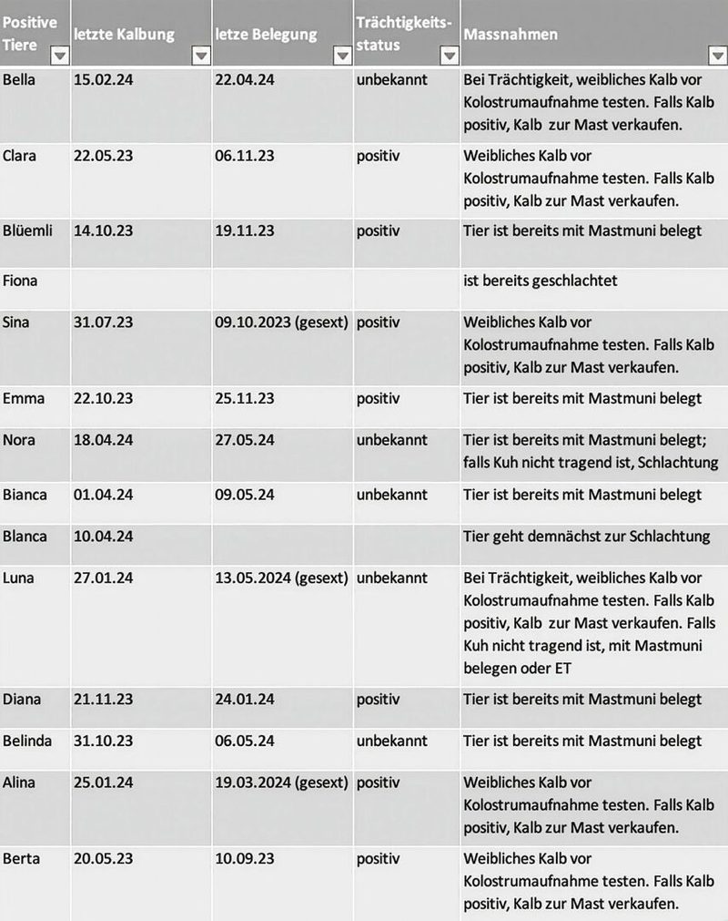 Ein vollständiges Sanierungskonzept beinhaltet jede positive Kuh auf dem Bestand mit dem Trächtigkeitsstatus und den entsprechenden Massnahmen. Quelle: RGS