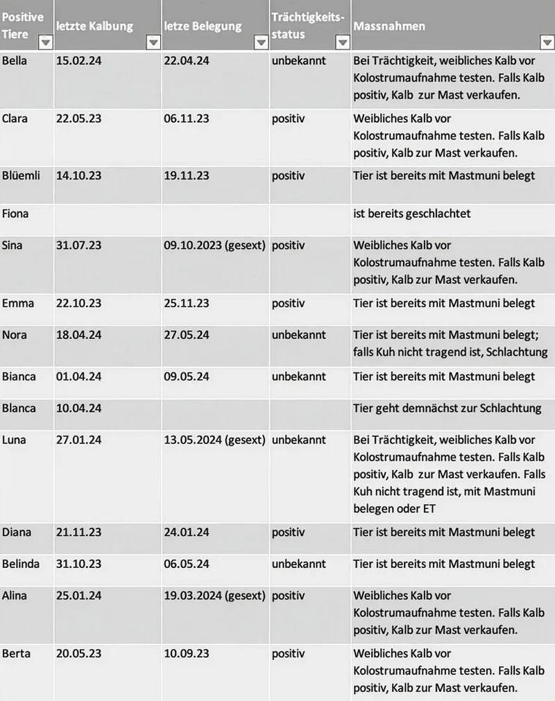 Ein vollständiges Sanierungskonzept beinhaltet jede positive Kuh auf dem Bestand mit dem Trächtigkeitsstatus und den entsprechenden Massnahmen. Quelle: RGS