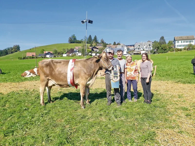 Blooming Bonitta von Familie Bill wurde zur Miss Braunvieh Hirzel erkoren.