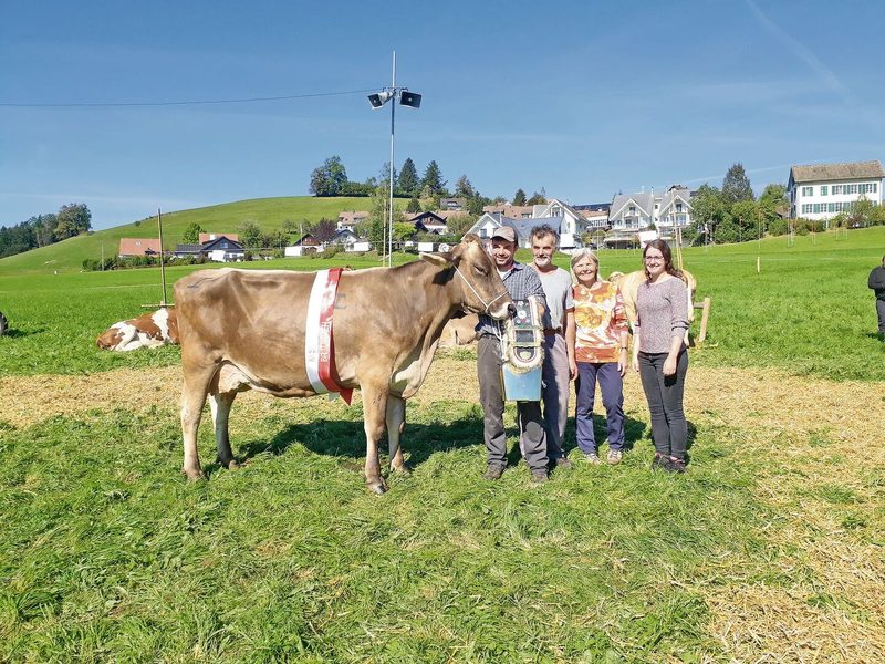 Blooming Bonitta von Familie Bill wurde zur Miss Braunvieh Hirzel erkoren.