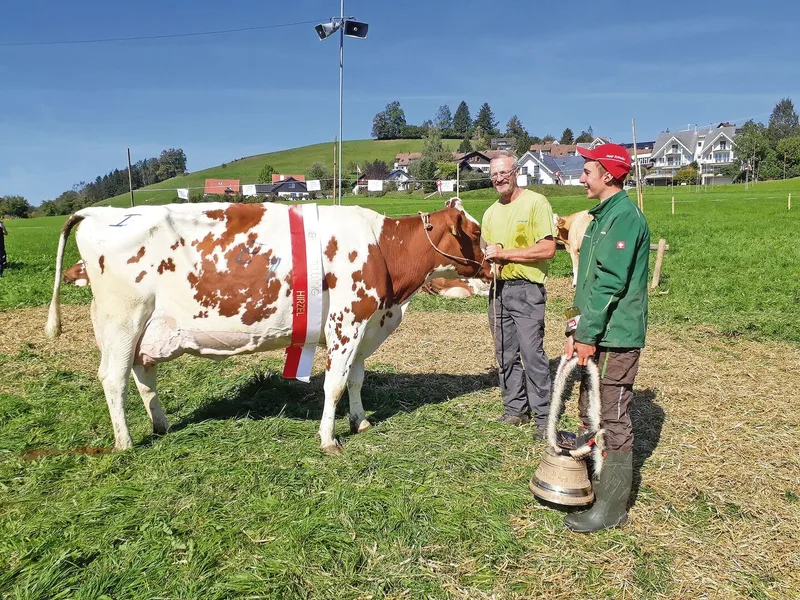Blackgold-ET Biene aus dem Stall der Familie Bär sicherte sich den Titel als Miss Holstein Hirzel.