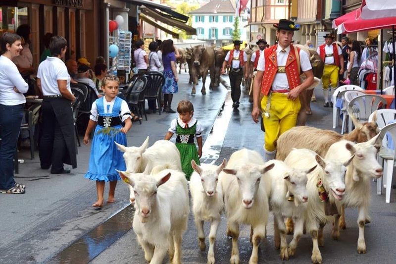 Alpabzug 2019: Bilder und Videos von Alpabfahrten aus der ganzen Schweiz