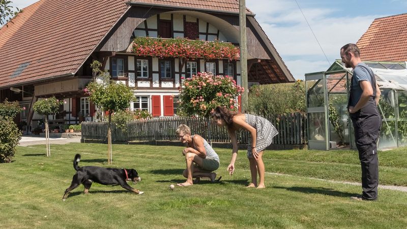 Betreuungsangebote auf dem Hof – was passt zu uns?