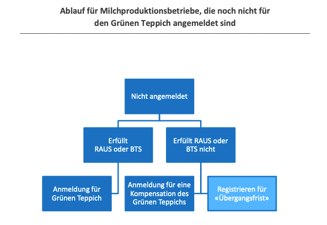 Ab 2024 müssen alle Milchbauern auf dem Grünen Teppich produzieren