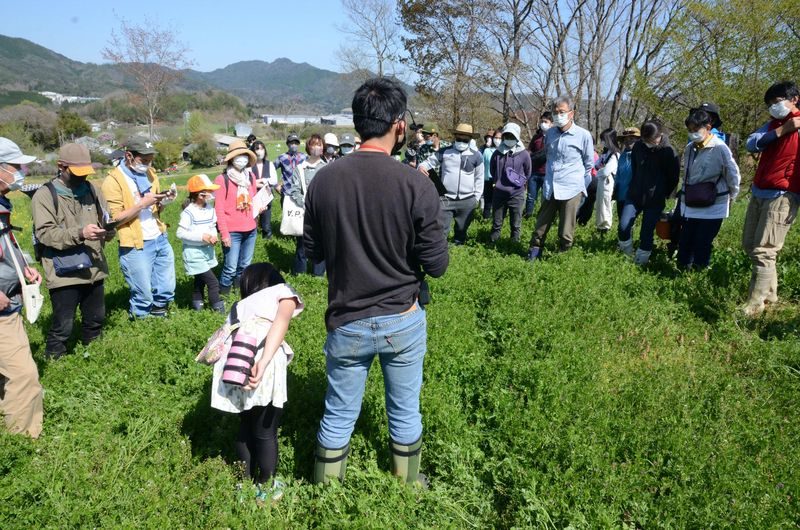 Tierschutz hat in Japan noch keinen hohen Stellenwert