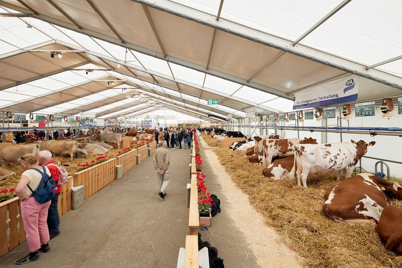Messen buhlen um Besucher und Finanzen