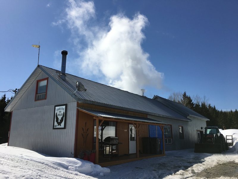 Kanada: Ahornsirup-Produktion mit 27'000 Bäumen