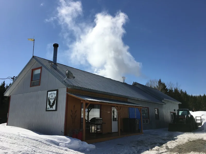 Kanada: Ahornsirup-Produktion mit 27'000 Bäumen