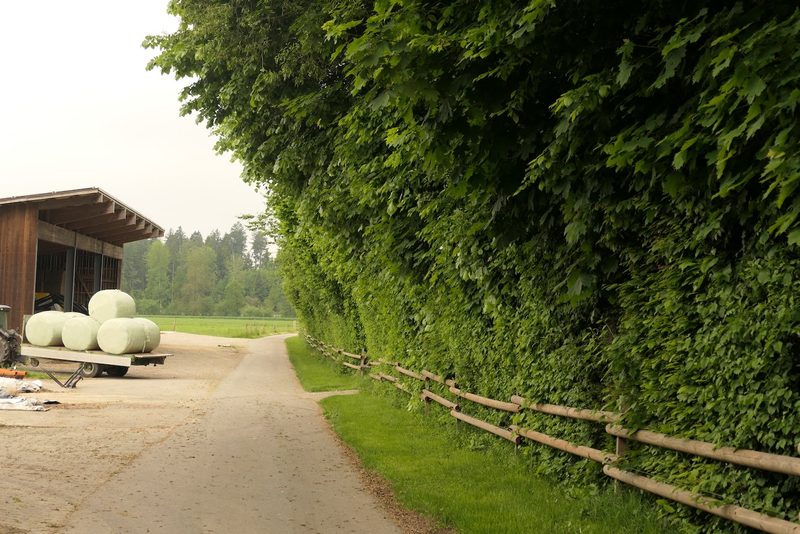Ein interaktiver Spaziergang zum Nachdenken auf 2,5 Kilometern