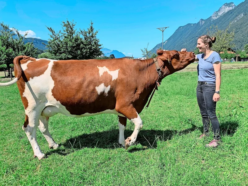 Enge Beziehung: Erika von Euw liebt den Umgang und die Arbeit mit den Tieren auf dem Hof. Hier auf der Weide mit den Swiss Fleckvieh Kühen.