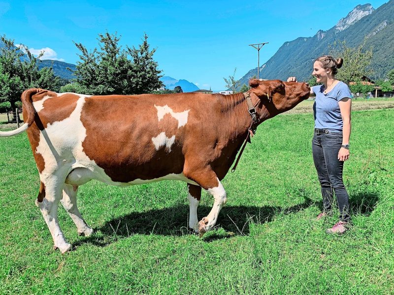Enge Beziehung: Erika von Euw liebt den Umgang und die Arbeit mit den Tieren auf dem Hof. Hier auf der Weide mit den Swiss Fleckvieh Kühen.