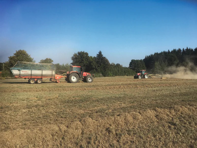 … nach mehrmaliger Überfahrt mit dem Striegel werden verdorrten Pflanzen zusammengerecht und mit dem Ladewagen abgeführt … Bild: zvg