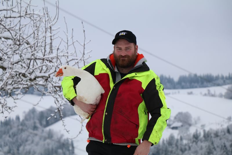 Rarität auf der Schweizer Weihnachtstafel: die Weidegans