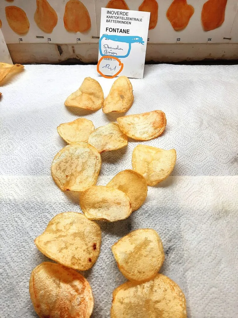 Gebackene Kartoffeln liegen auf einem Haushaltspapier.