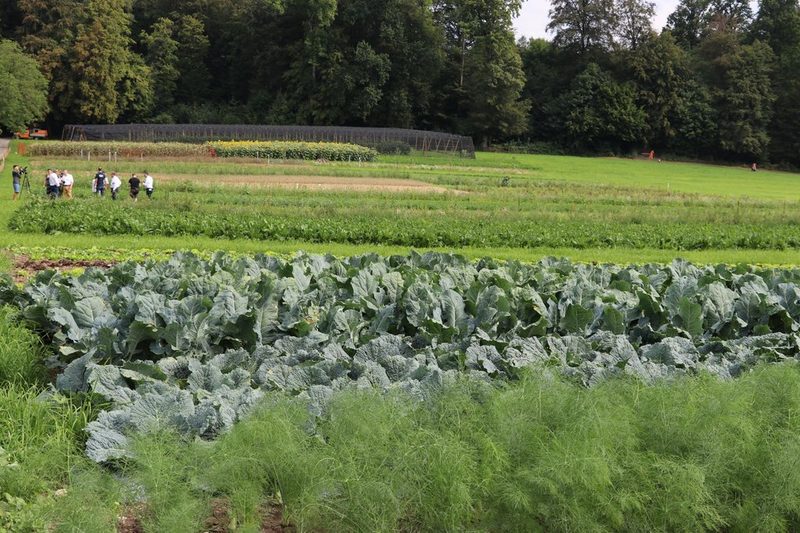 In zwei Wochen startet die ALA 23: «Jetzt fängt es an zu knistern»