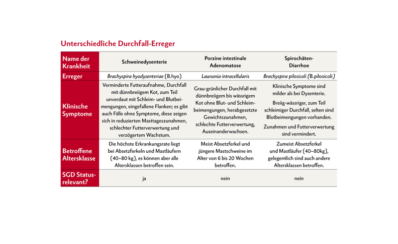 Die Tabelle zeigt drei verschiedene Erreger und die Krankheiten, die sie auslösen.