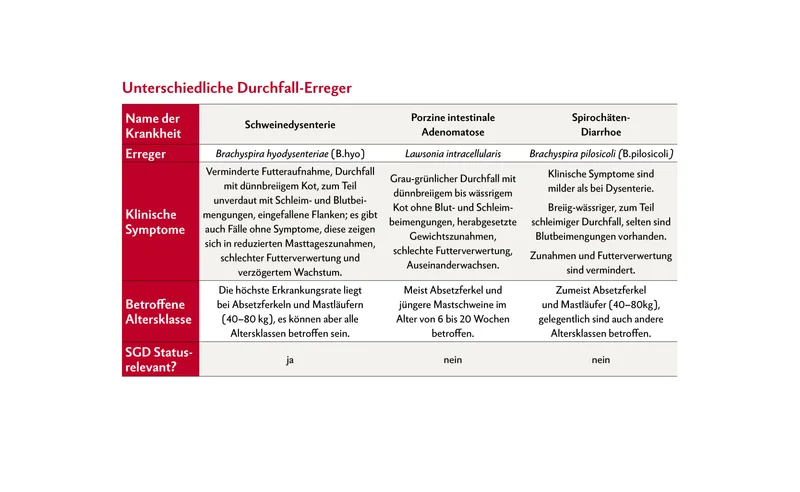 Die Tabelle zeigt drei verschiedene Erreger und die Krankheiten, die sie auslösen.