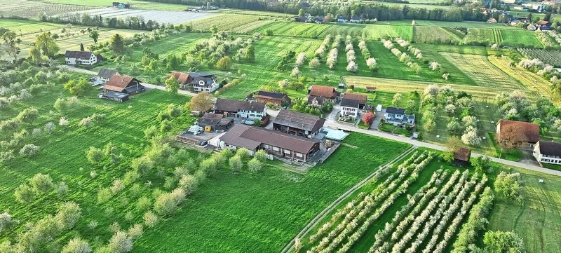 Milchwirtschaft ist der Hauptbetriebszweig von Familie Baumgartner im thurgauischen Egnach.