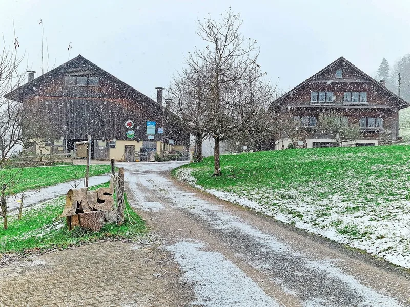 Ein Teil des idyllischen Hofs: Im linken Gebäude befindet sich der Anbindestall. Juds planen dort eine Erweiterung zu einem Laufstall.