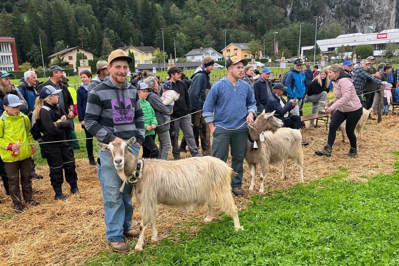 Grosser Freudentag für die Urner Kleinviehzüchter