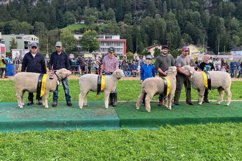 Grosser Freudentag für die Urner Kleinviehzüchter