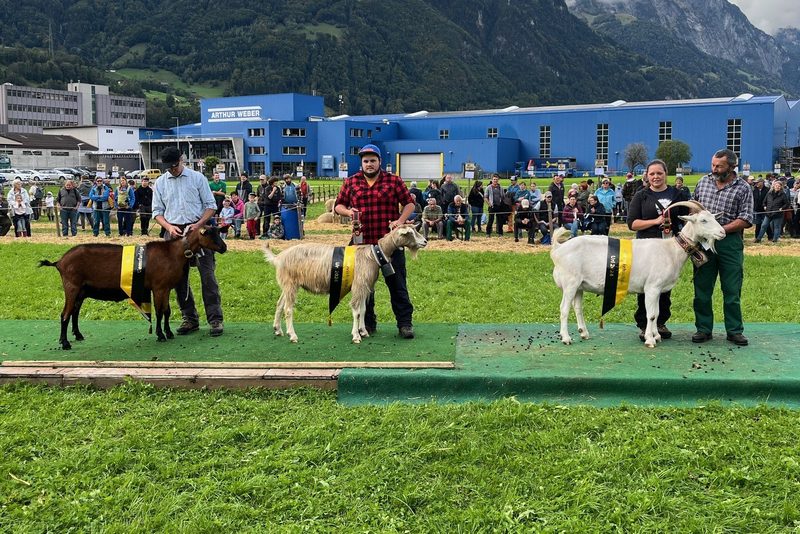 Grosser Freudentag für die Urner Kleinviehzüchter