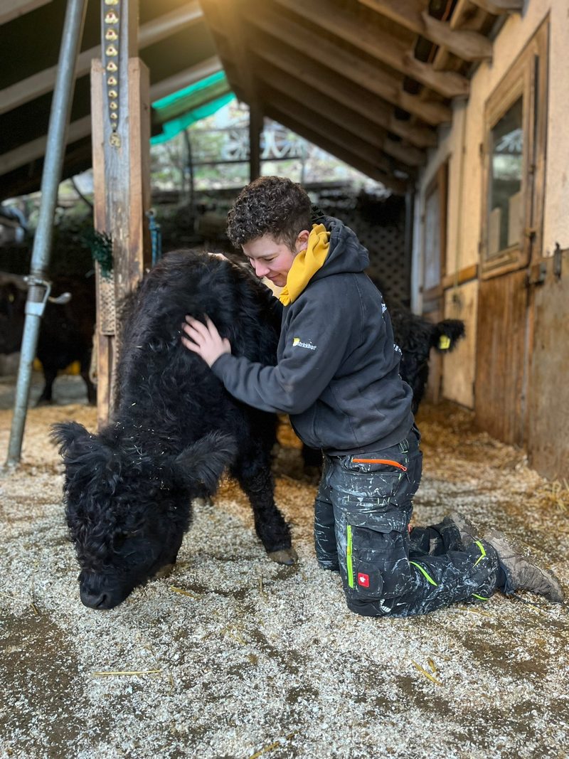 Farcis wollen einen Hof gründen – aber das ist gar nicht so einfach