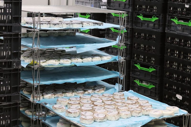 Die Milchprodukte von «La Sapalet» werden für den Vertrieb und Verkauf bereitgemacht.