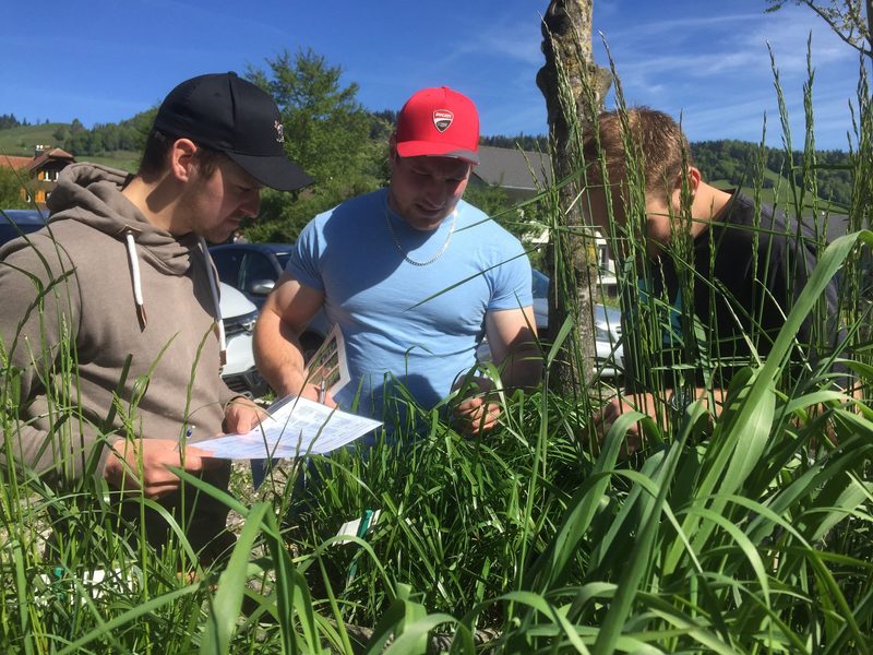 «Er hat nie gefehlt»: Die Lehrer am landwirtschaftlichen Bildungszentrum über das gute Benehmen des Schwingerkönigs
