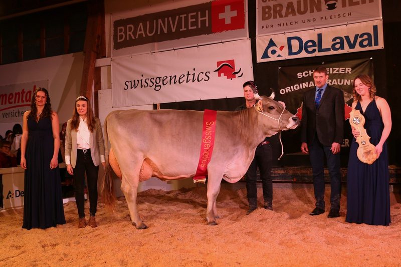 Sorexpo 2024: Killy Piana und Harlei Holly setzen sich durch