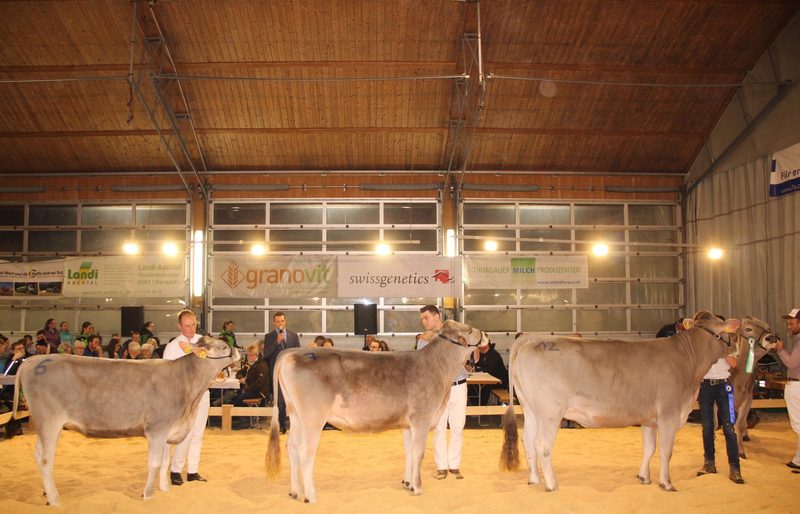 Grace gewinnt die 21. Top Show in Istighofen